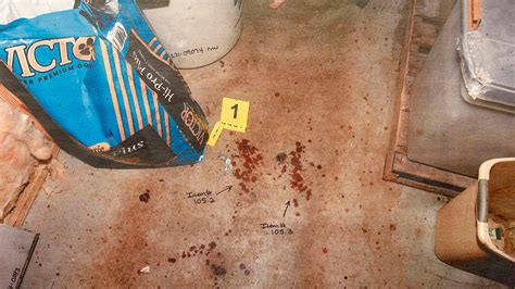 murdaugh murder crime scene pictures|Murdaugh Murders: Crime Scene Photos Shown in Court